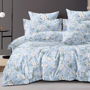 Merino Blue Royal Look Queen Size Bedsheet Set with 2 Pillow Cover