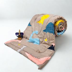 Teens KIds Bed Comforter –Dinosaurs