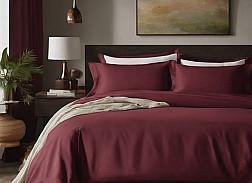 Comforter